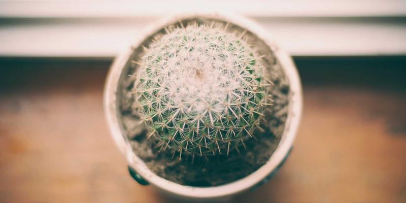 智能楼宇的神经网络：杰士电力电缆如何打通从传感器到执行器的全链路连接