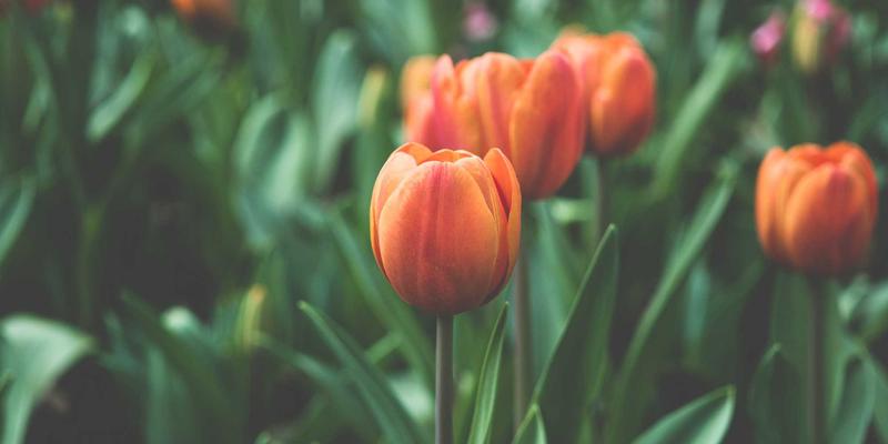 杰士电缆12：电力电缆与电线电缆的卓越之选，赋能现代电气设备安全高效运行