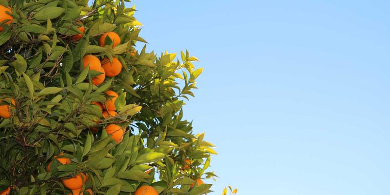 杰士电缆60：电气设备与产品的卓越选择，解析电线电缆的核心价值