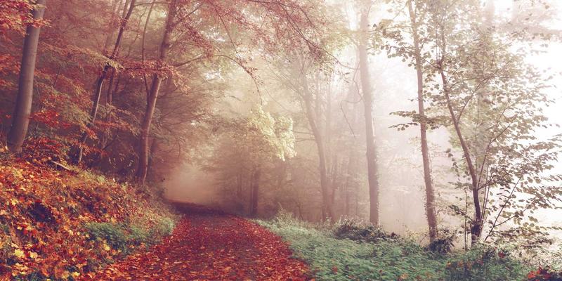 杰士电缆专业安装与敷设规范：保障电气设备长期稳定运行的关键