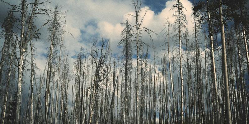 杰士电缆在光伏电站中的关键应用：如何应对高温、紫外线与复杂地形挑战