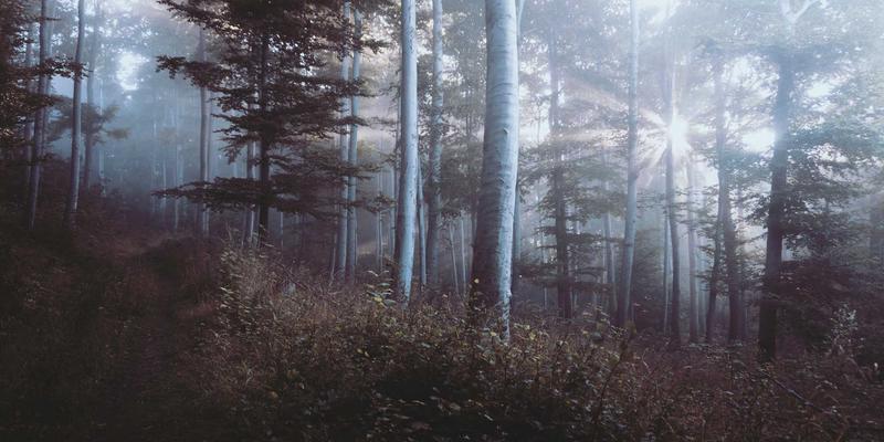 杰士电缆在医疗设备中的应用：如何满足柔性、生物兼容与电磁屏蔽三大关键需求