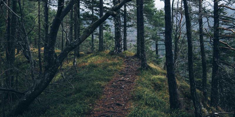 杰士电缆屏蔽效能深度解析：如何为工业自动化系统构筑电磁干扰防火墙