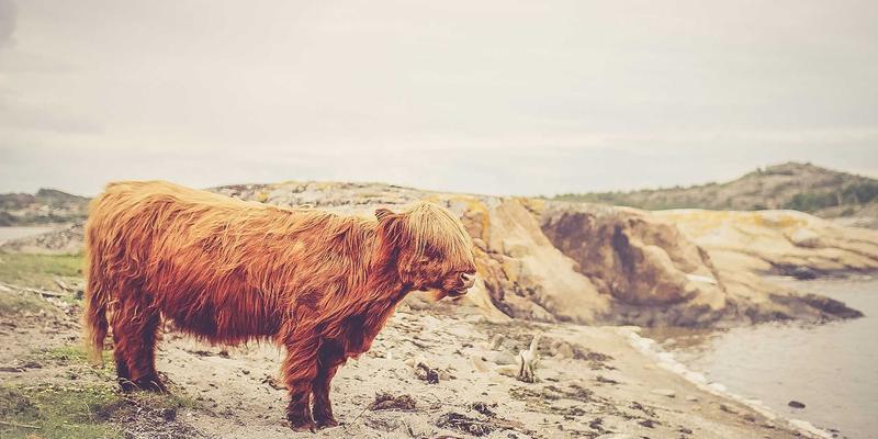 杰士电缆屏蔽设计解析：如何为控制电缆与电力电缆构建电磁干扰防护盾