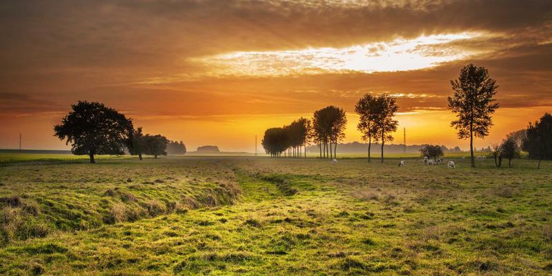 杰士电缆：数据中心机房布线的高带宽与低损耗解决方案专家