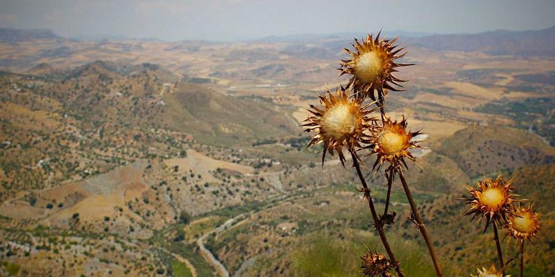 杰士电缆环保材料创新：无卤低烟电力电缆在地铁与隧道工程中的核心安全优势