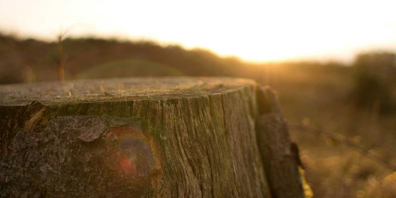 杰士电缆老化机理与寿命评估：材料、环境与负载的综合影响 | 电气设备安全指南