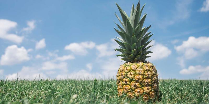 杰士船用电缆如何征服海洋？深度解析其耐盐雾、耐振动与阻燃设计